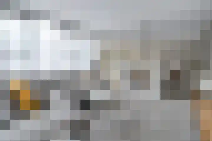 Fossielenerf 512 Heerlen thumbnail 6