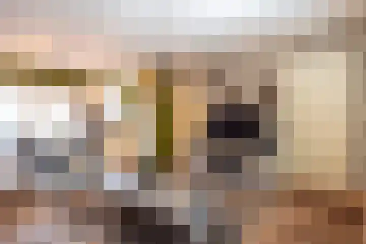 Fossielenerf 512 Heerlen thumbnail 7
