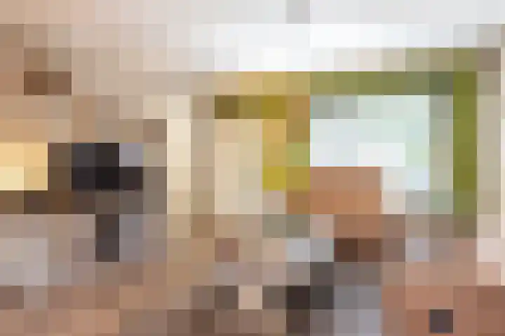 Fossielenerf 512 Heerlen thumbnail 8