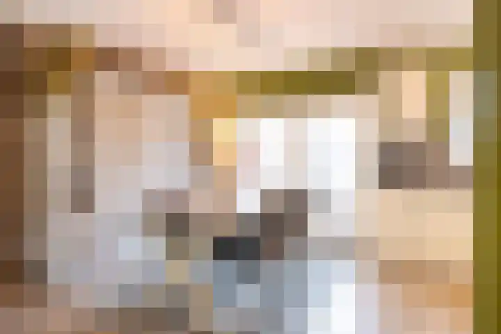 Fossielenerf 512 Heerlen thumbnail 9