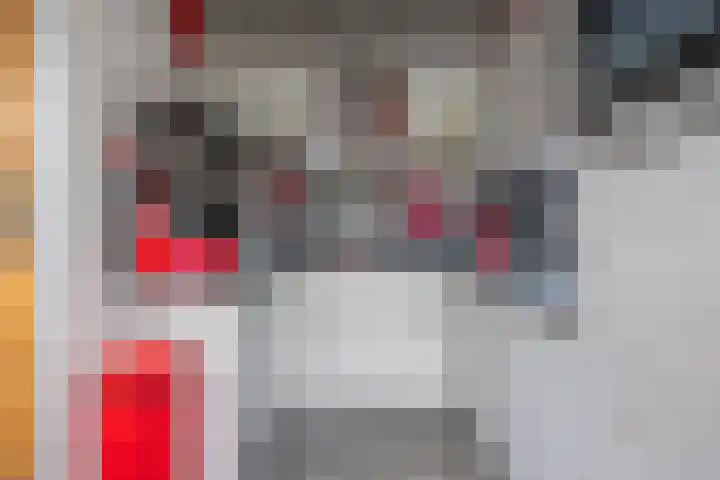 Fossielenerf 524 Heerlen thumbnail 10