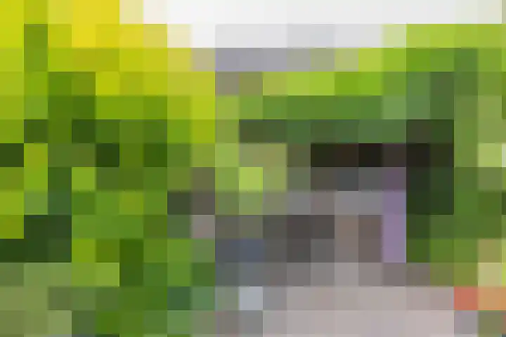 Fossielenerf 524 Heerlen thumbnail 21