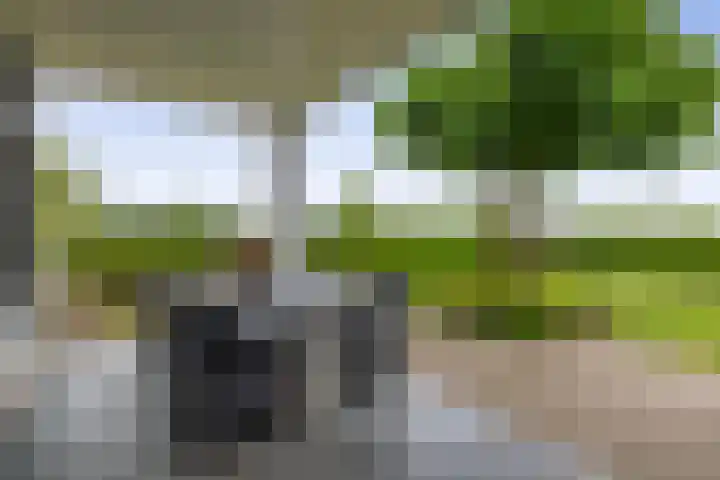 Foswerterstrjitte 12 Ferwert thumbnail 27