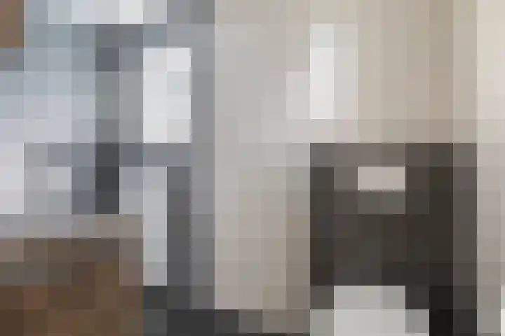 Foswerterstrjitte 12 Ferwert thumbnail 28