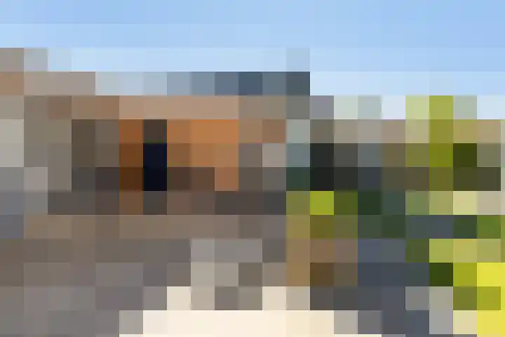 Foswerterstrjitte 12 Ferwert thumbnail 32