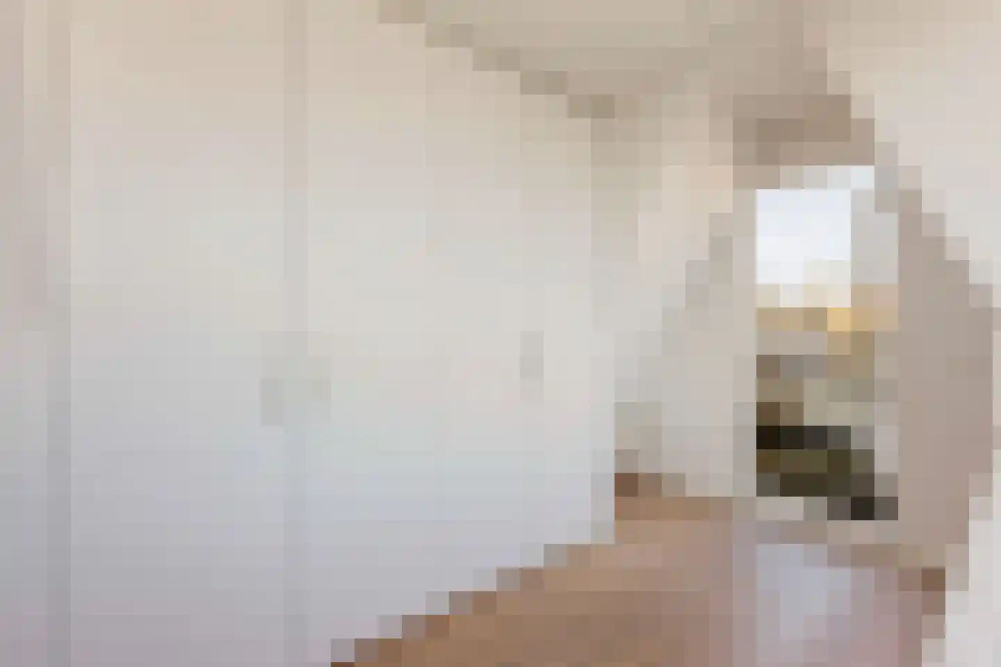 Foswerterstrjitte 12 Ferwert thumbnail 36