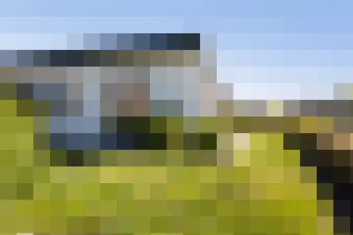 Foswerterstrjitte 12 Ferwert thumbnail 36