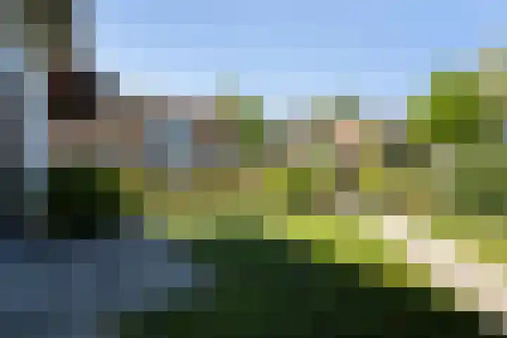 Foswerterstrjitte 12 Ferwert thumbnail 37