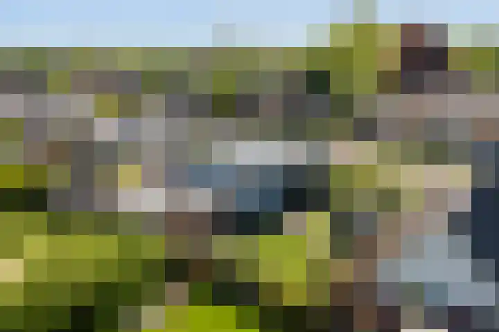 Foswerterstrjitte 12 Ferwert thumbnail 39