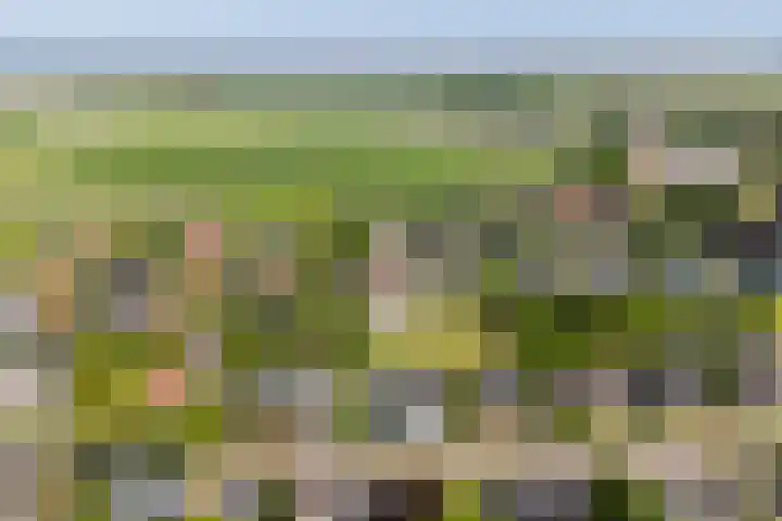 Foswerterstrjitte 12 Ferwert thumbnail 4