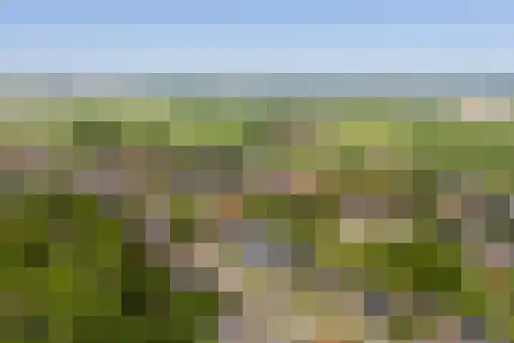 Foswerterstrjitte 12 Ferwert thumbnail 44