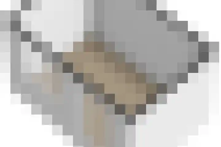 Foswerterstrjitte 12 Ferwert thumbnail 49
