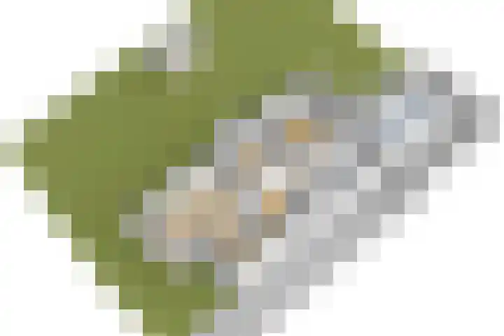 Foswerterstrjitte 12 Ferwert thumbnail 51