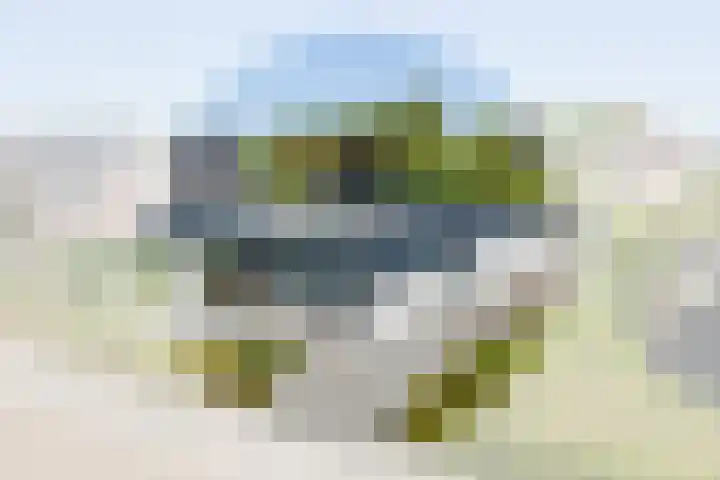 Foswerterstrjitte 12 Ferwert thumbnail 52
