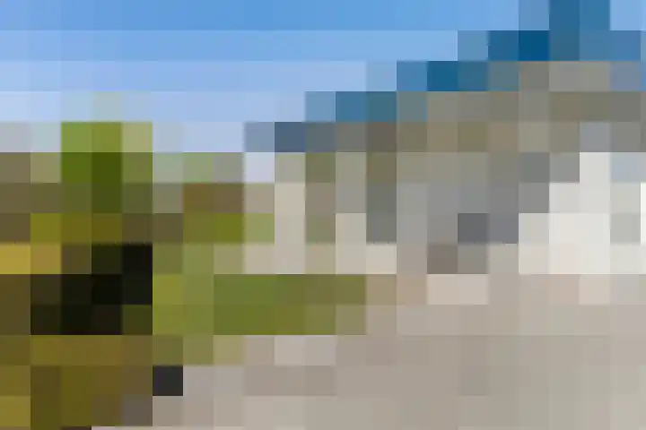 Foswerterstrjitte 12 Ferwert thumbnail 6