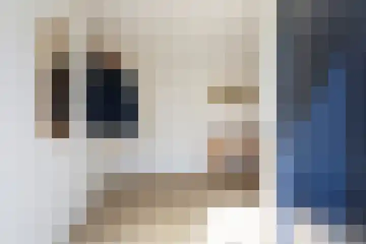 Foswerterstrjitte 12 Ferwert thumbnail 8