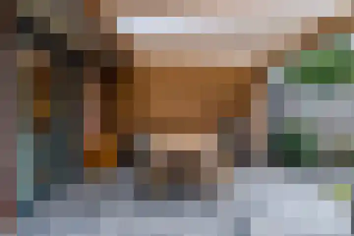 Framboas 12 Sweagerbosk thumbnail 14