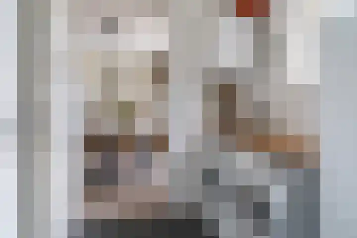 Framboas 12 Sweagerbosk thumbnail 16