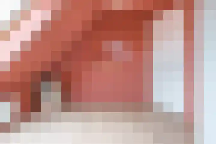 Framboas 12 Sweagerbosk thumbnail 26