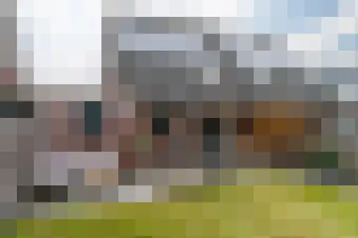 Framboas 12 Sweagerbosk thumbnail 38