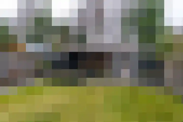Framboas 12 Sweagerbosk thumbnail 4