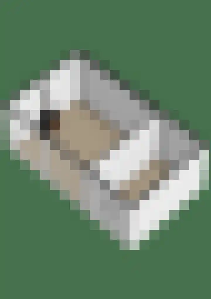 Framboas 12 Sweagerbosk thumbnail 49