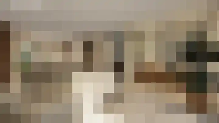 Framboos 37 Someren thumbnail 5