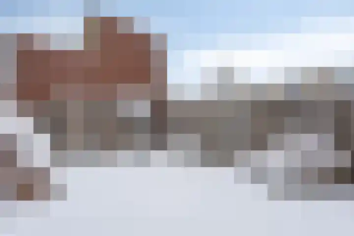 Frambozenstraat 32 Almere thumbnail 31