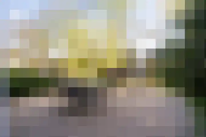 Francisca Hoeve 26 Gouda thumbnail 21