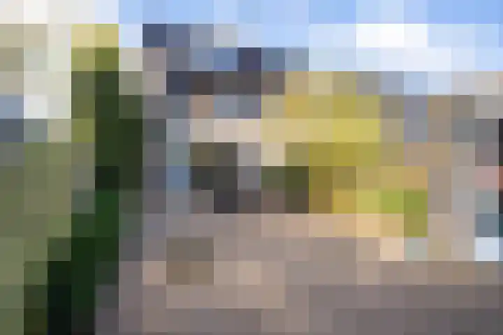 Francisca Hoeve 26 Gouda thumbnail 22