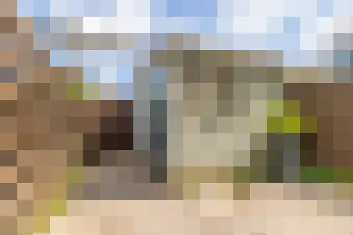 Franciscanenstraat 3 Assendelft thumbnail 34