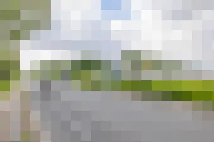 Franciscanenstraat 3 Assendelft thumbnail 38