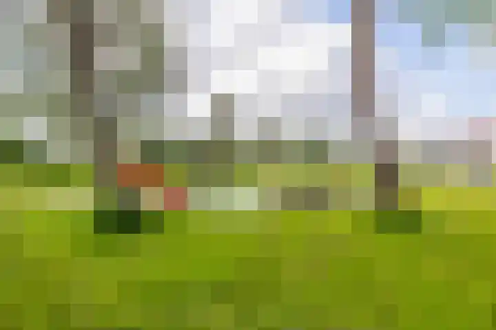 Franciscanenstraat 3 Assendelft thumbnail 40