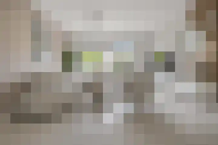 Franciscanenstraat 43 Assendelft thumbnail 4