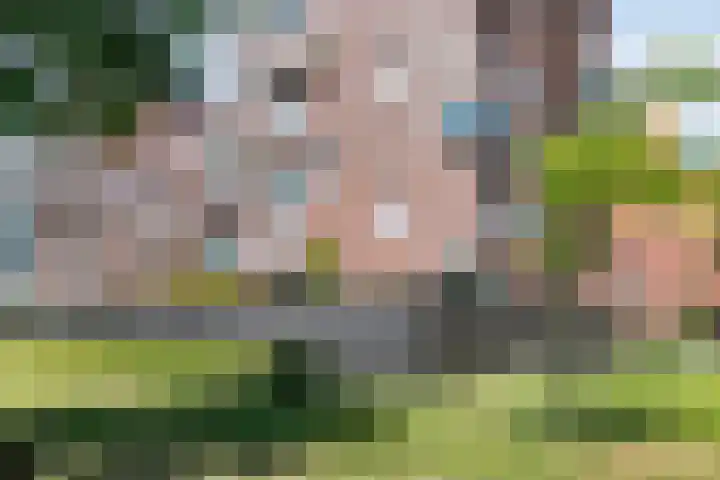 Franciscanerpoort 7 Venray thumbnail 4