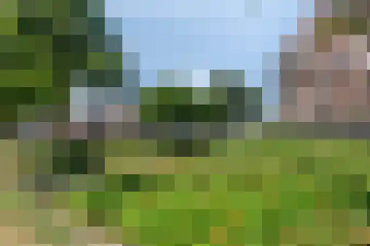 Franciscanerpoort 7 Venray thumbnail 40