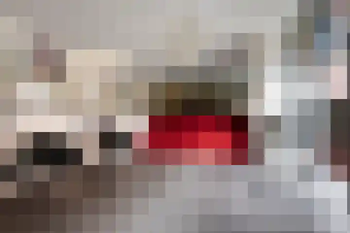 Franciscanerpoort 7 Venray thumbnail 7