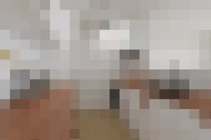 Franciscushof 22 Bodegraven thumbnail 11