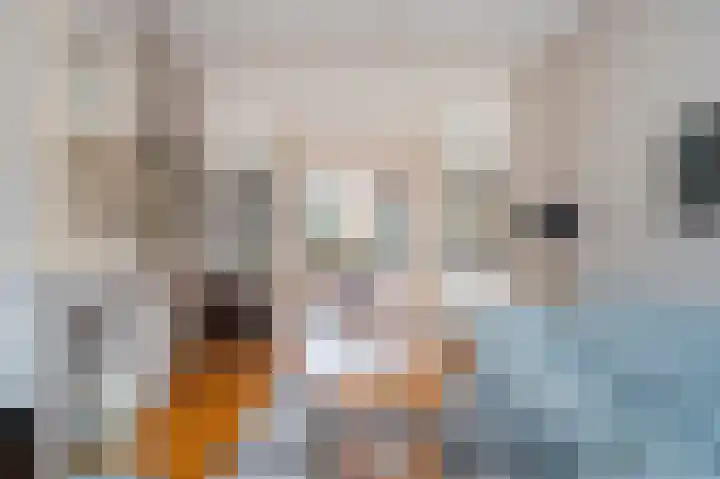 François Maelsonstraat 32 in Den Haag