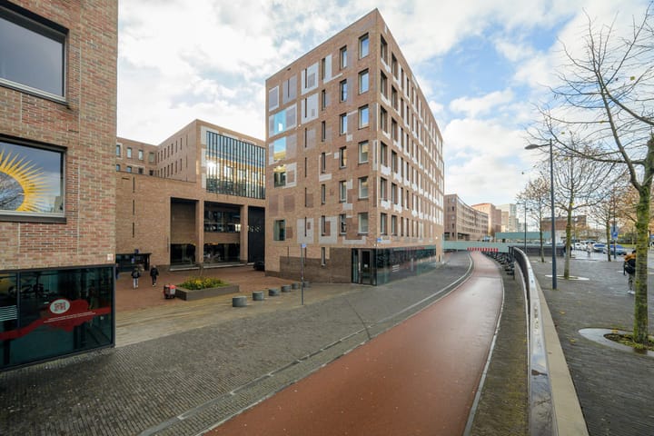 Françoise van Savoyetoren 18 in Breda foto