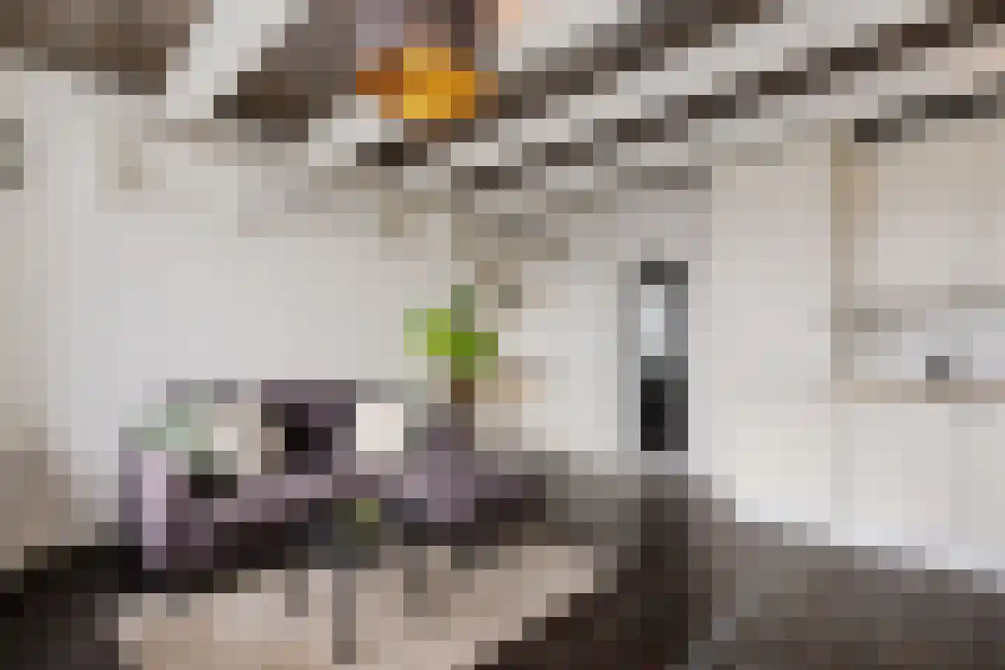 Franekereind 15 Harlingen thumbnail 27
