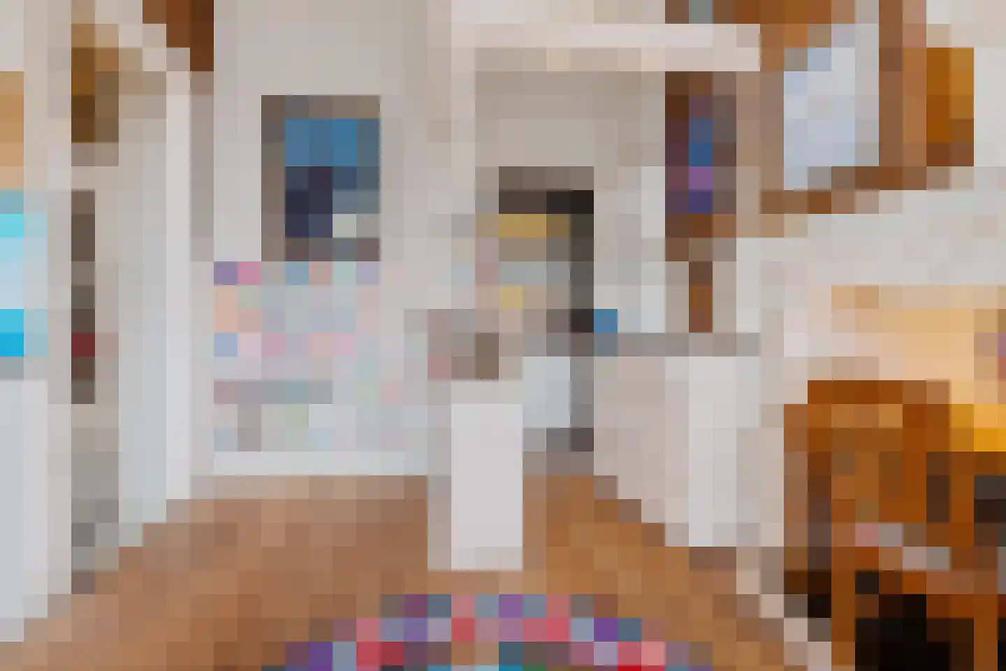 Franekereind 15 Harlingen thumbnail 36