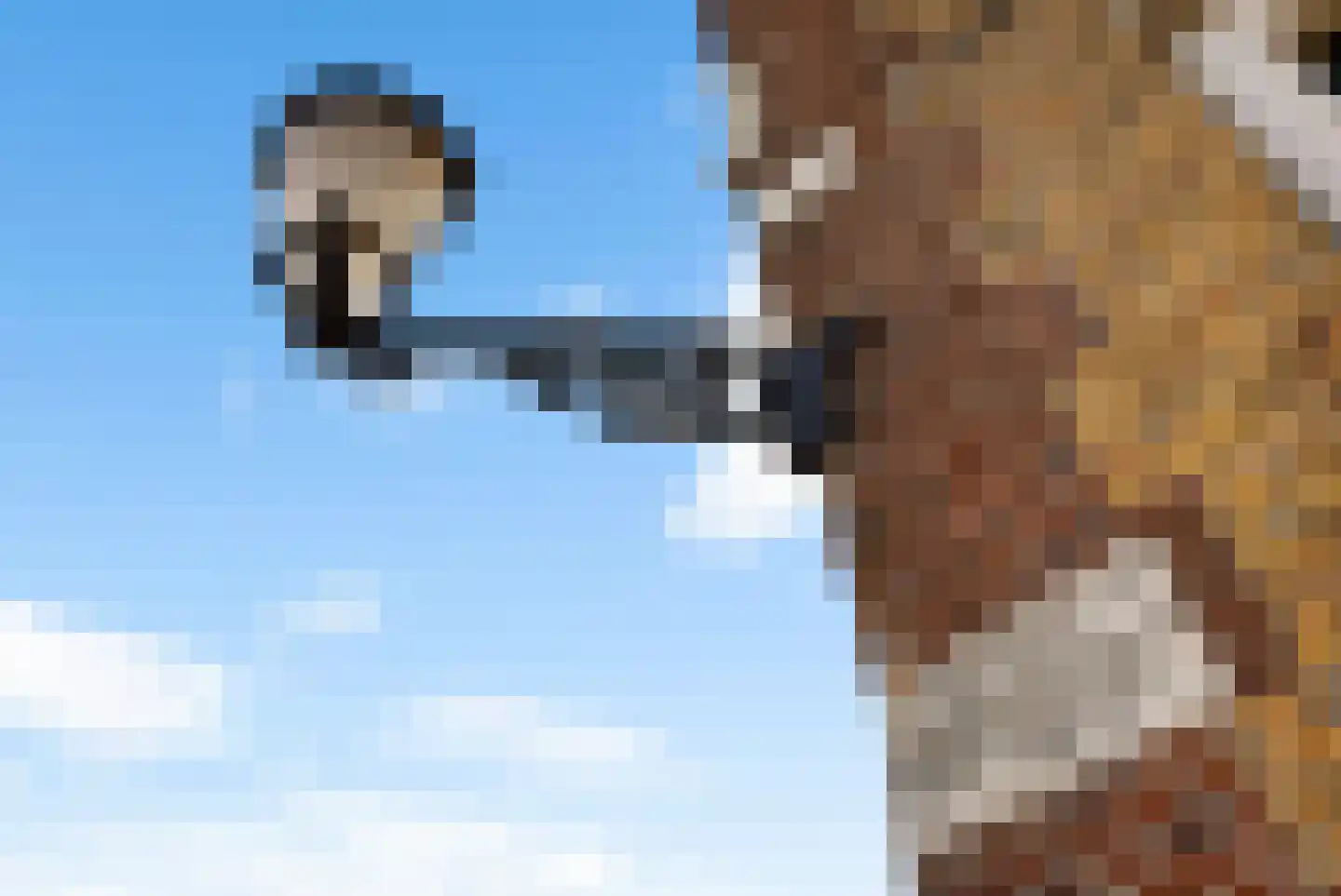 Franekereind 15 Harlingen thumbnail 8