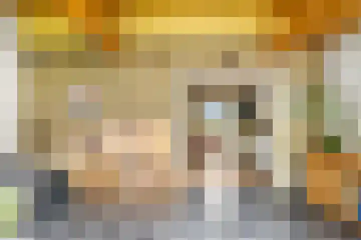 Franekerkade 17 Arum thumbnail 14
