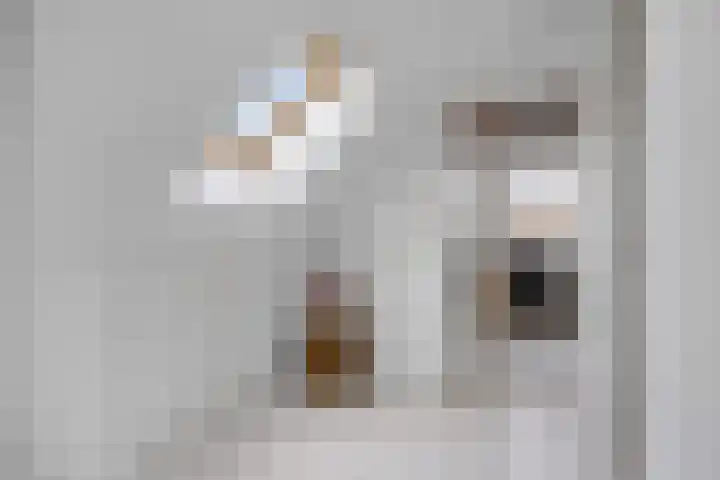 Franekerkade 17 Arum thumbnail 35