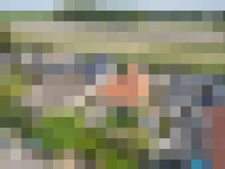 Franekerkade 17 Arum thumbnail 50