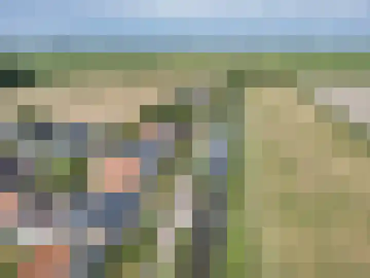 Franekerkade 17 Arum thumbnail 53