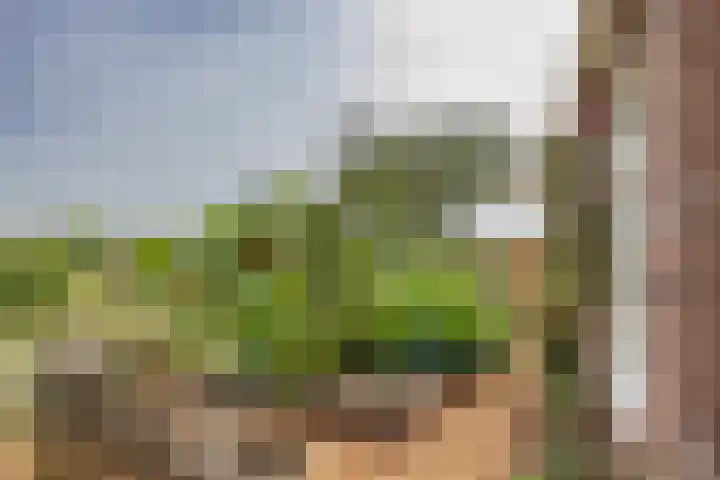 Franekerkade 17 Arum thumbnail 6