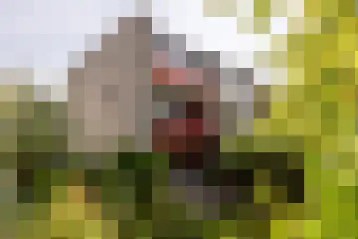 Frank van Borselenstraat 14 Brielle thumbnail 37