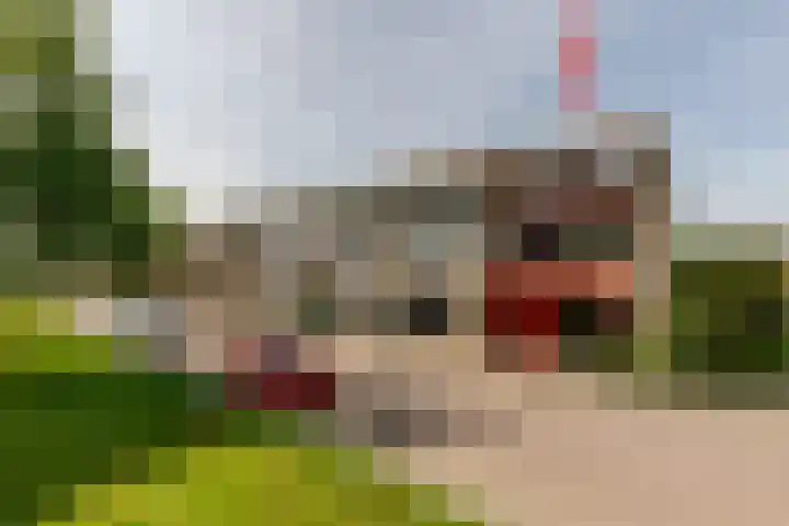 Frank van Borselenstraat 14 Brielle thumbnail 45